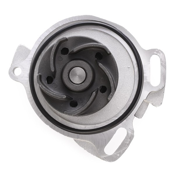 Bombeadora de agua SKF VKPC81606 precio, desde 68,94 EUR