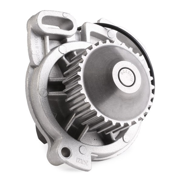 Bombeadora de agua SKF VKPC81606 precio, desde 68,94 EUR
