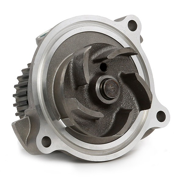 Bombeadora de agua SKF VKPC81612 precio, desde 49,96 EUR
