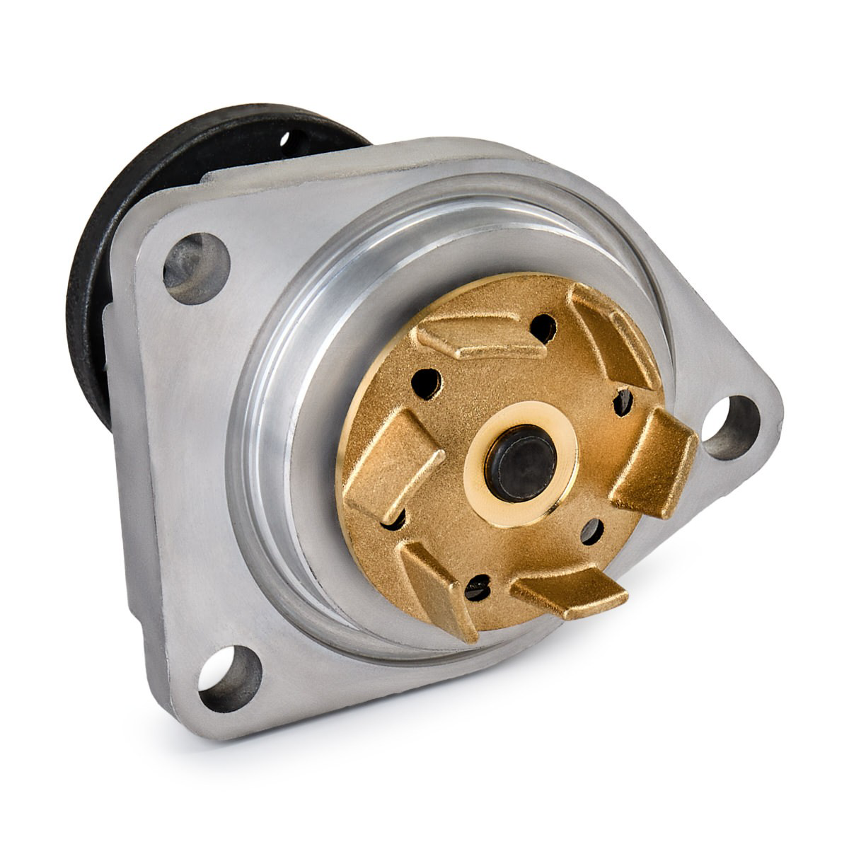Bomba de agua VKPC85613 SKF