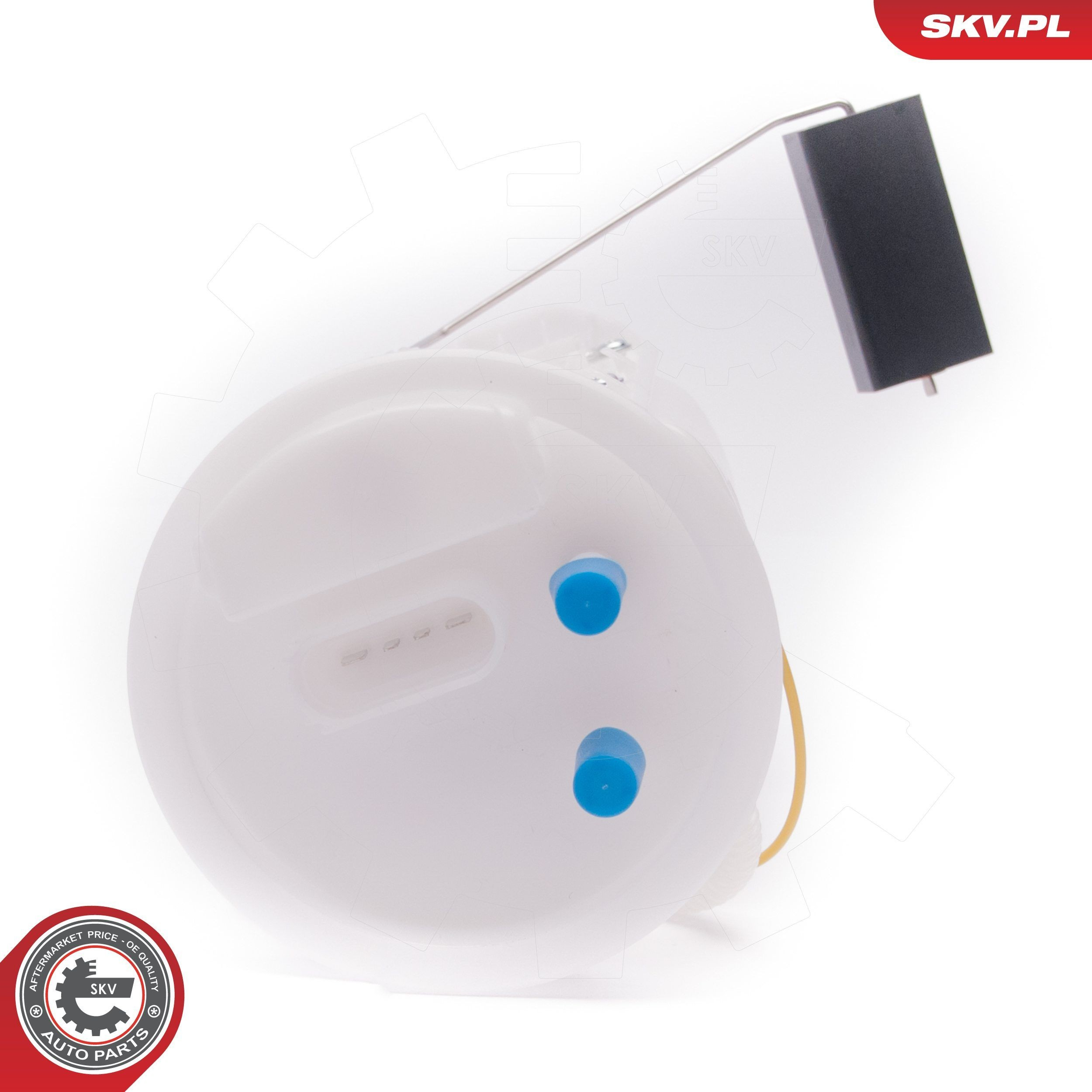 02SKV781 SKV