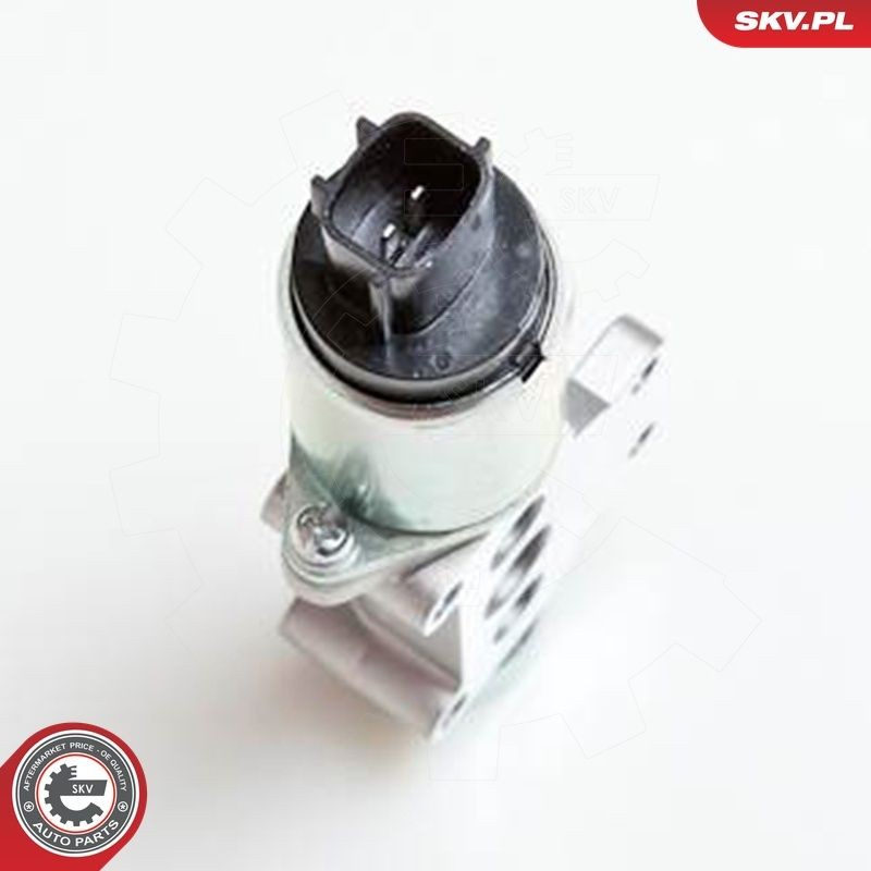 Válvula de mando de ralentí SKV 08SKV218 precio, desde 210,19 EUR