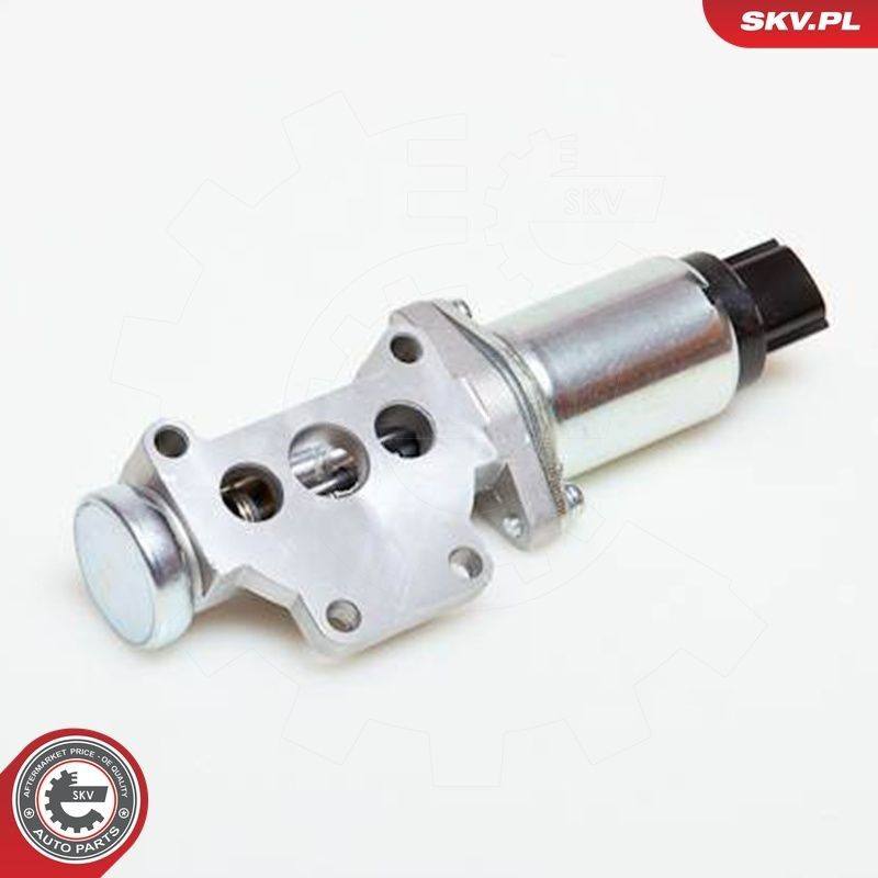 Válvula IAC 08SKV218 SKV