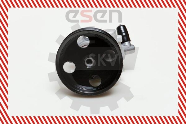 10SKV039 SKV