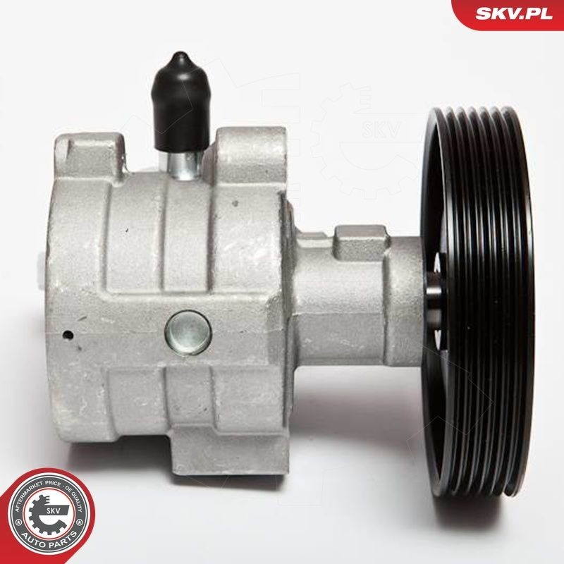 Bomba de dirección asistida  SKV 10SKV068 precio, desde 90,43 EUR