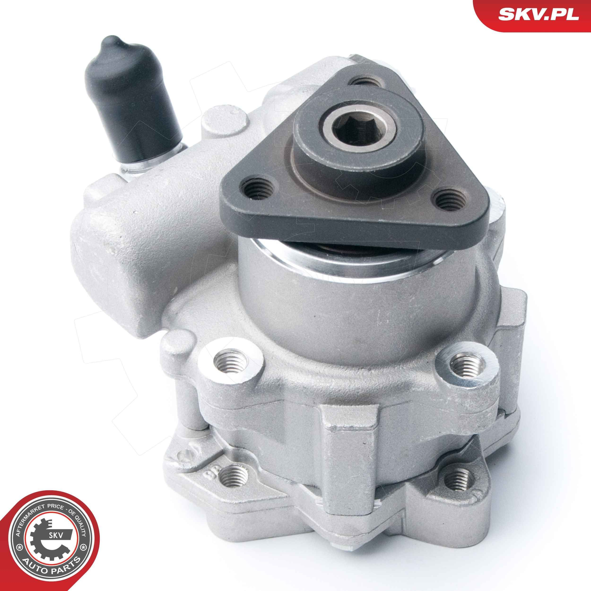 10SKV122 SKV