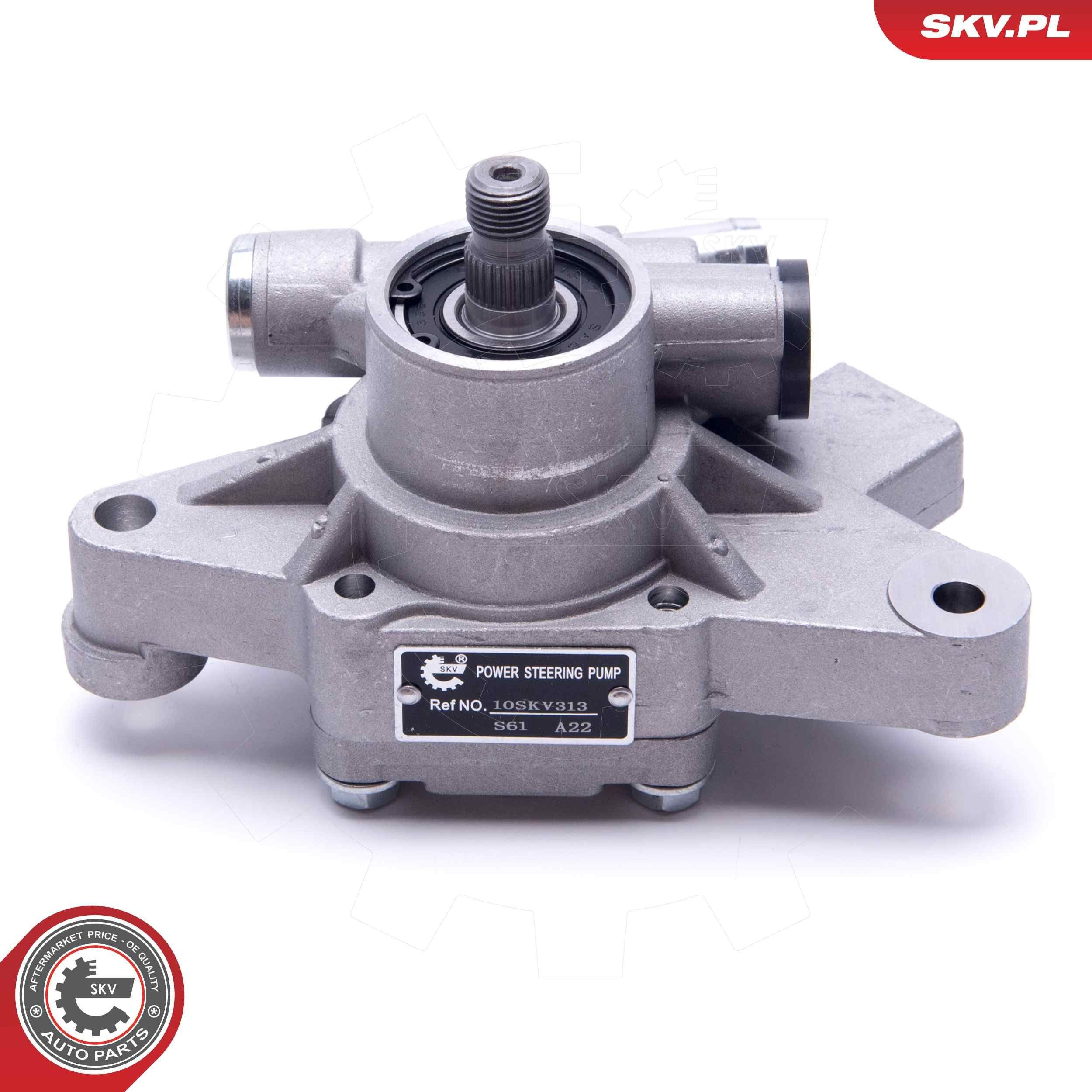 10SKV313 SKV