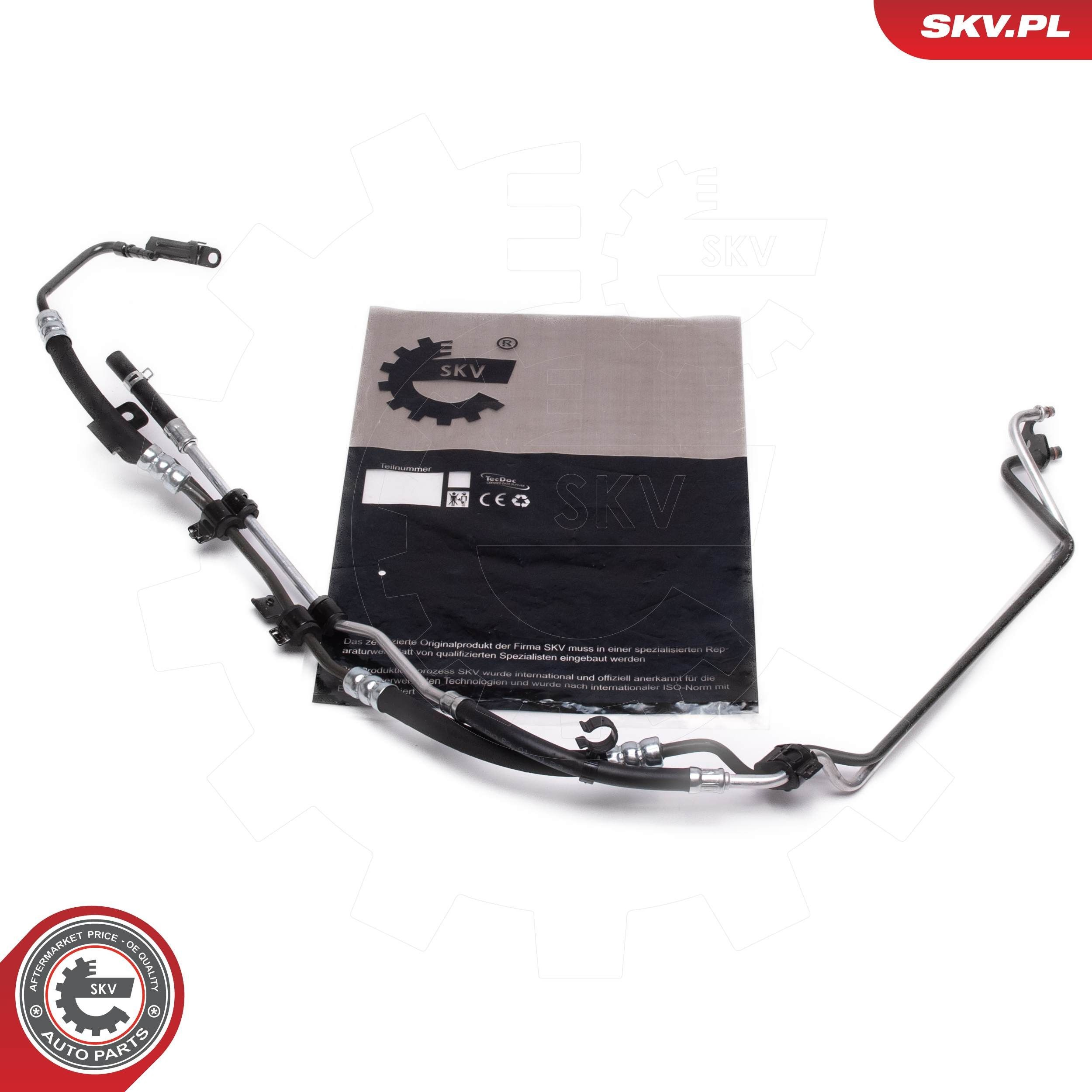 10SKV841 SKV