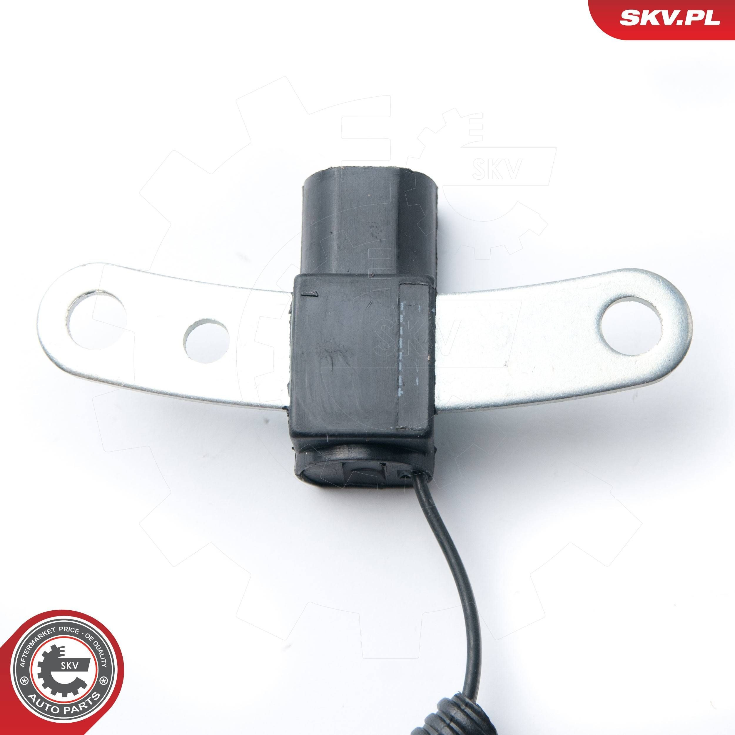 17SKV316 SKV