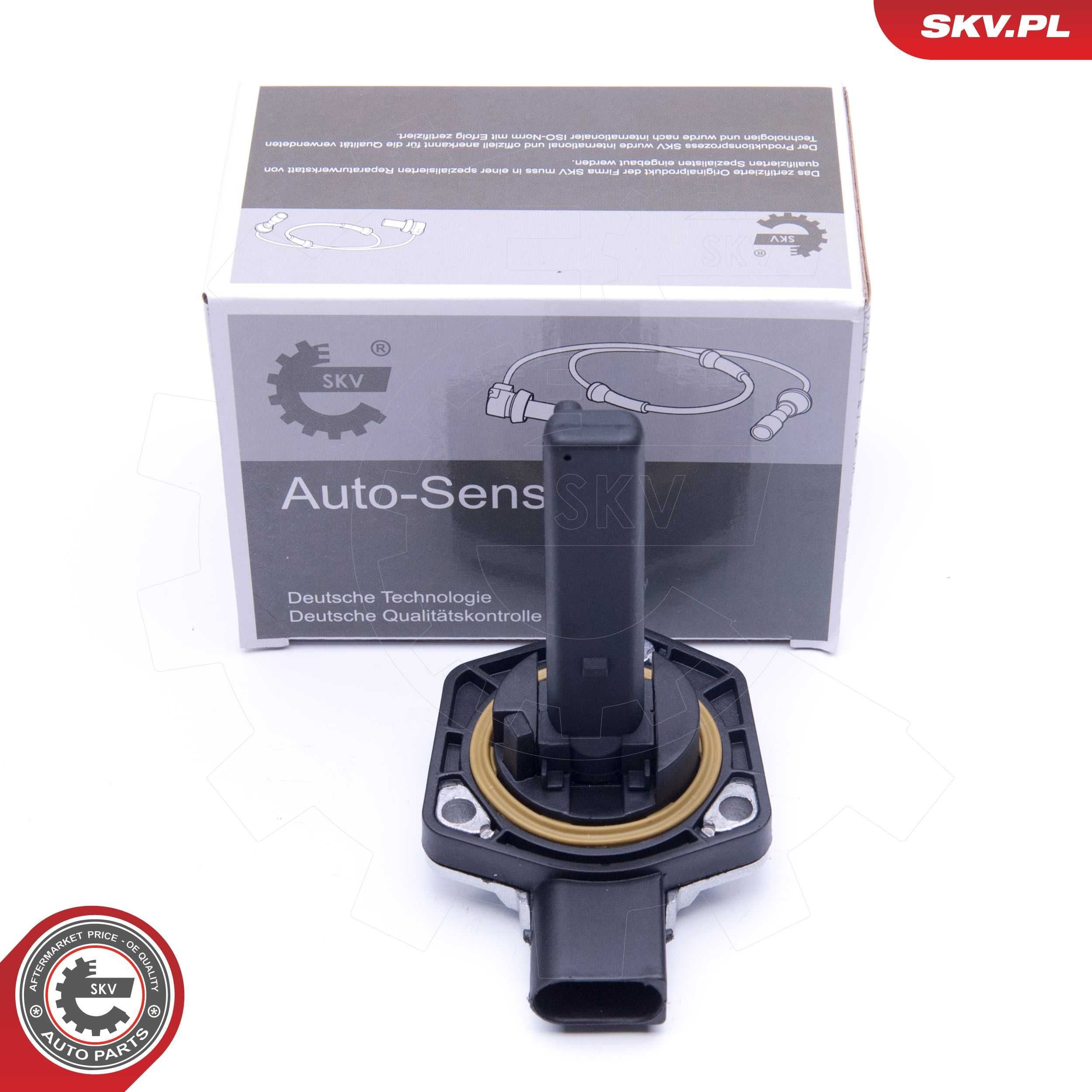 17SKV381 SKV