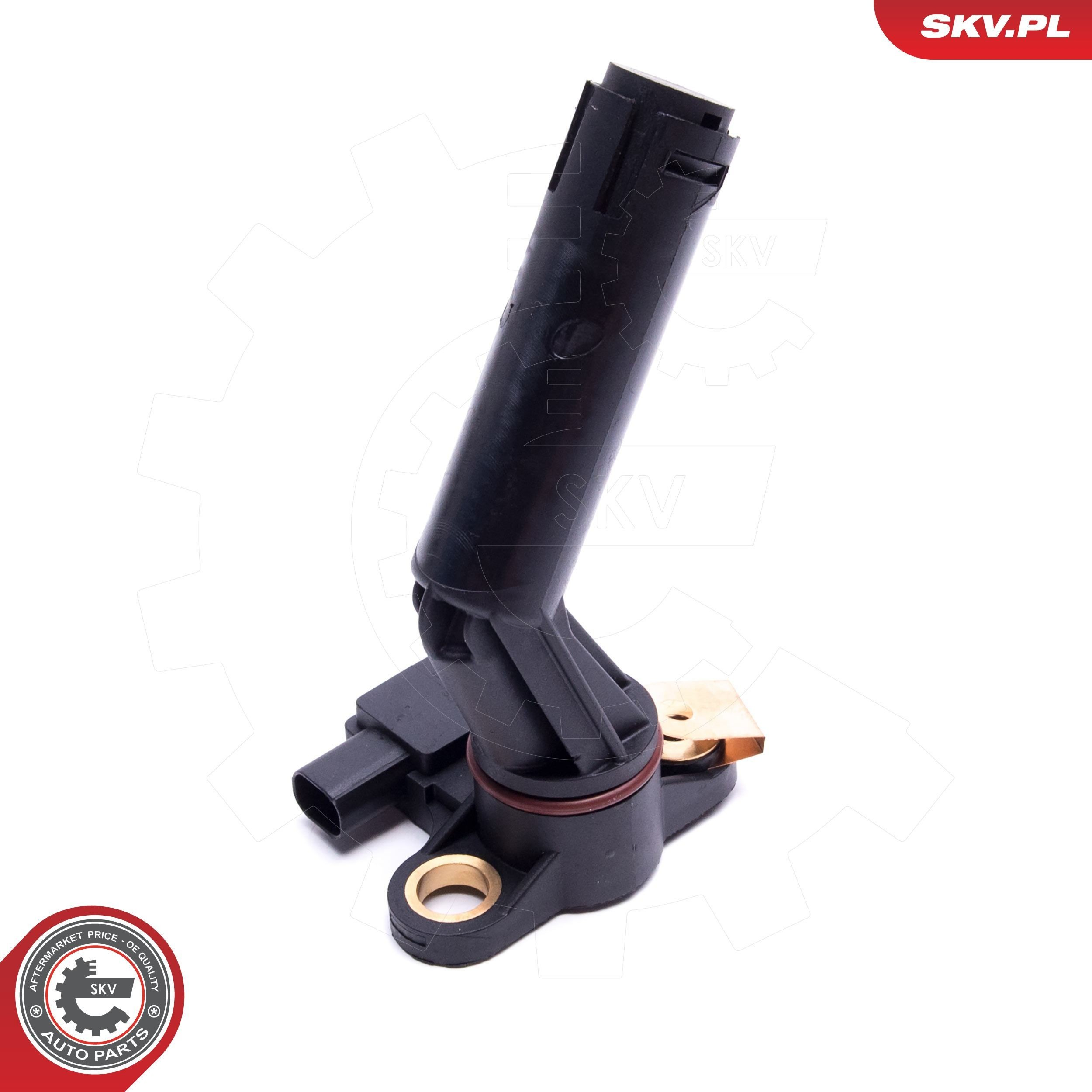 17SKV750 SKV