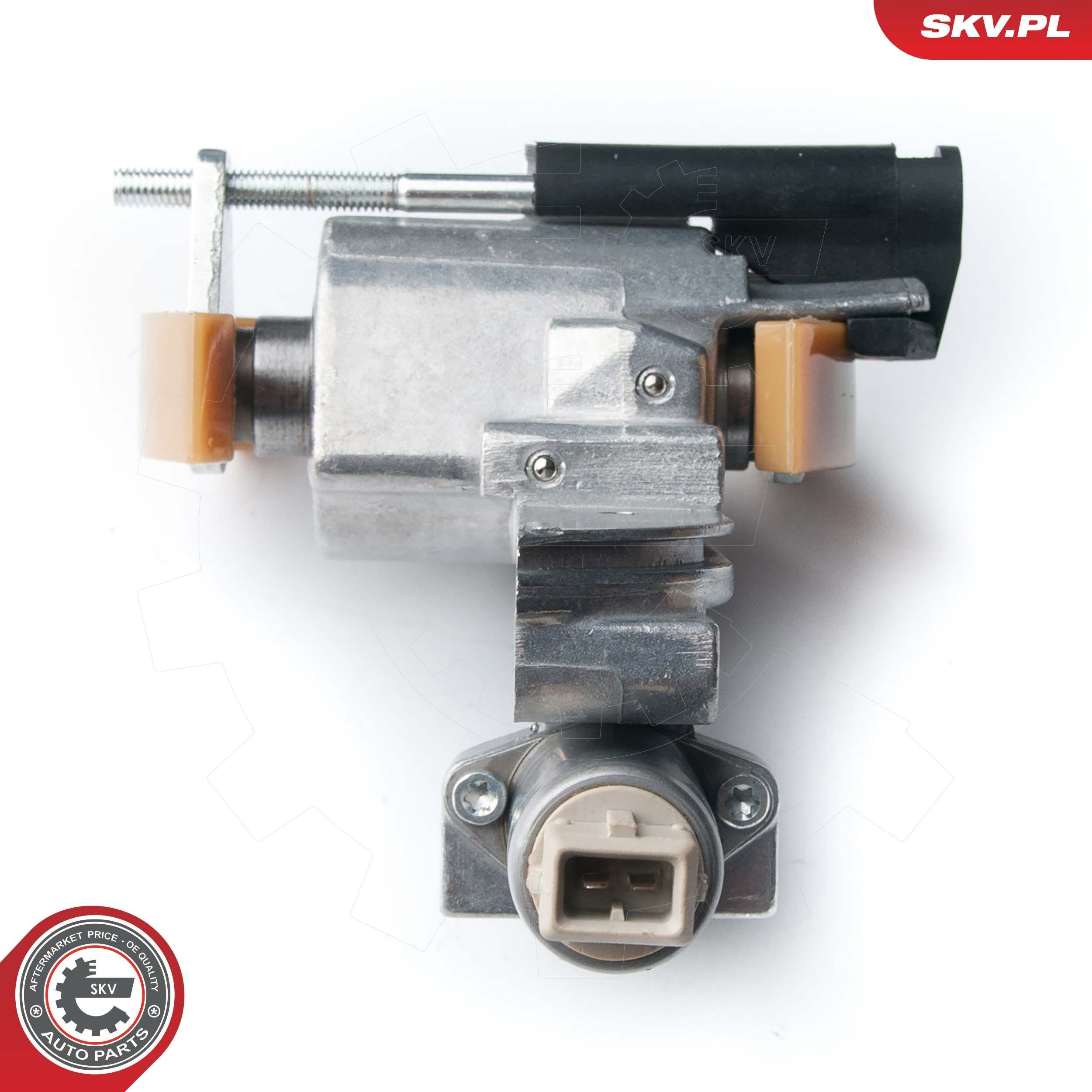 Tensor de cadena de distribución del árbol de levas izquierdo SKV 21SKV071 precio, desde 241,68 EUR