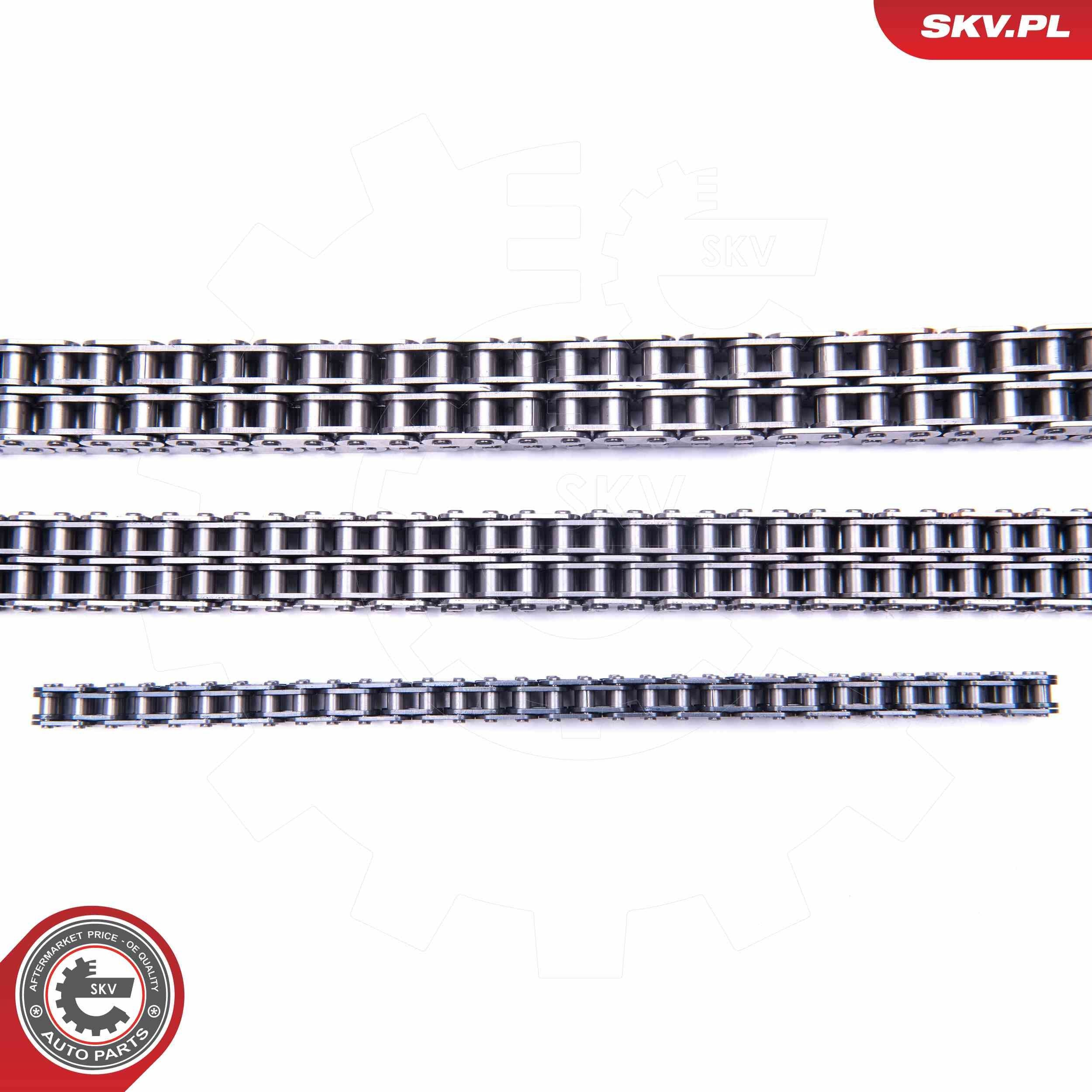 21SKV202 SKV