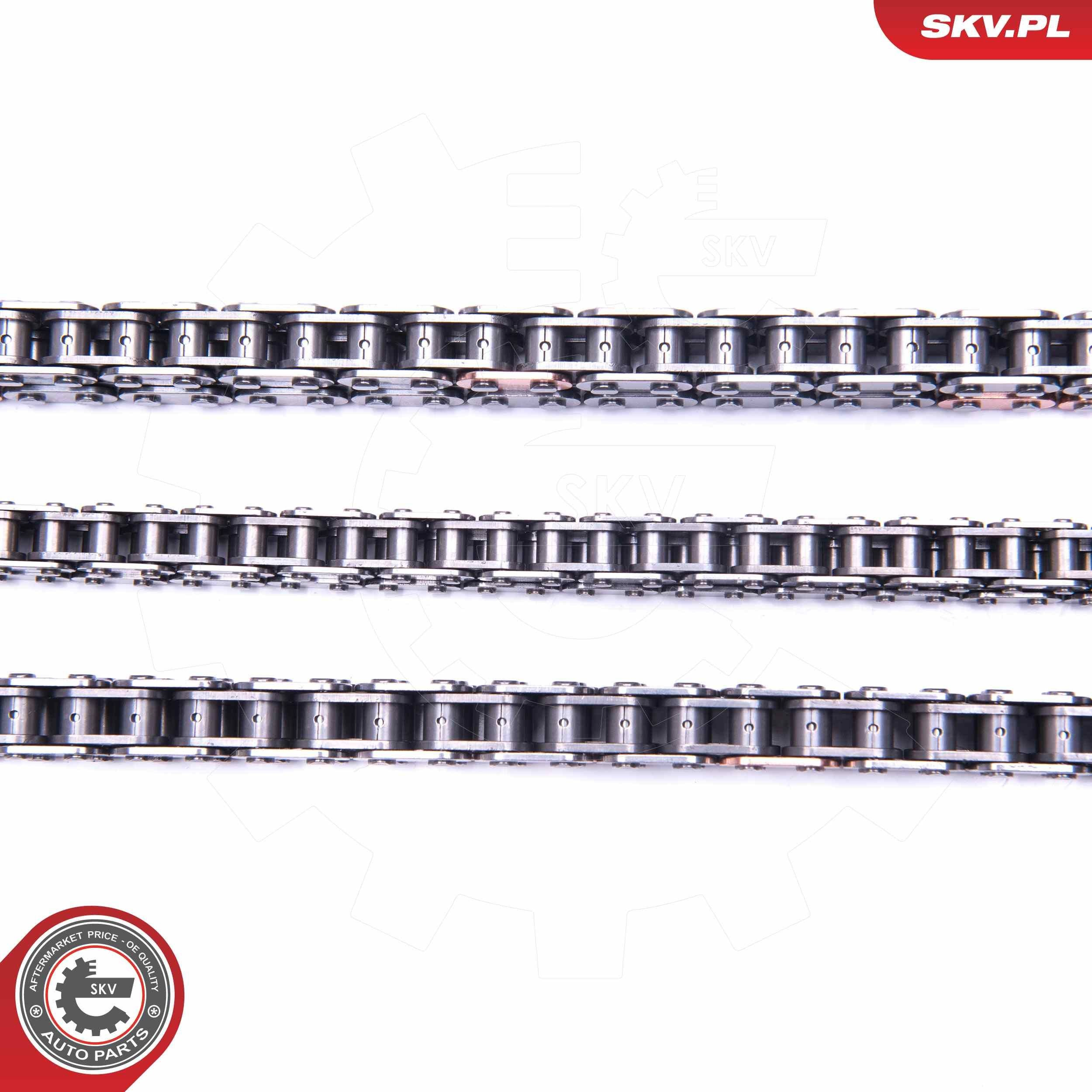 21SKV223 SKV