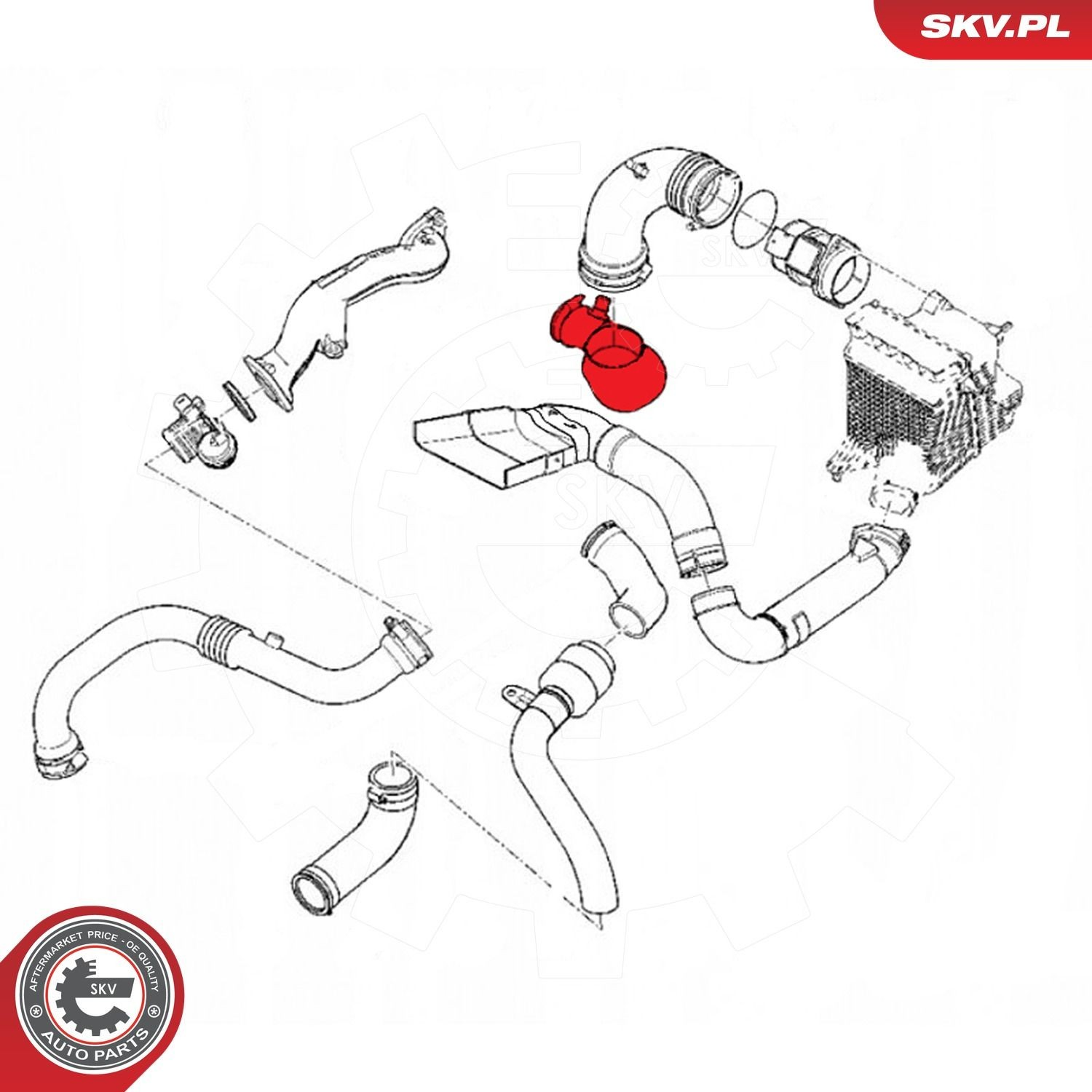 24SKV469 SKV