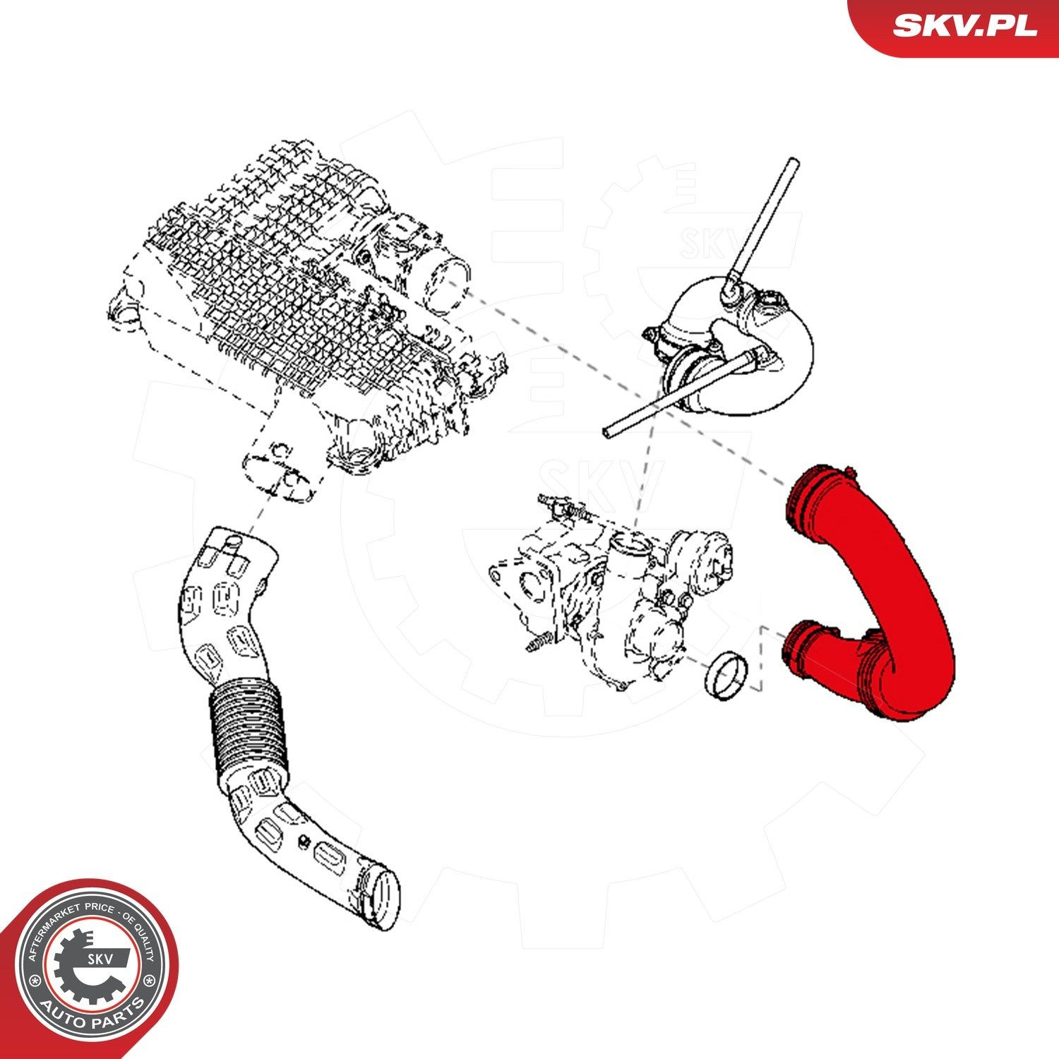 24SKV729 SKV