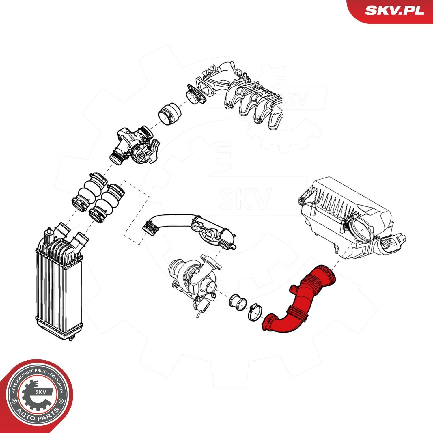 24SKV859 SKV