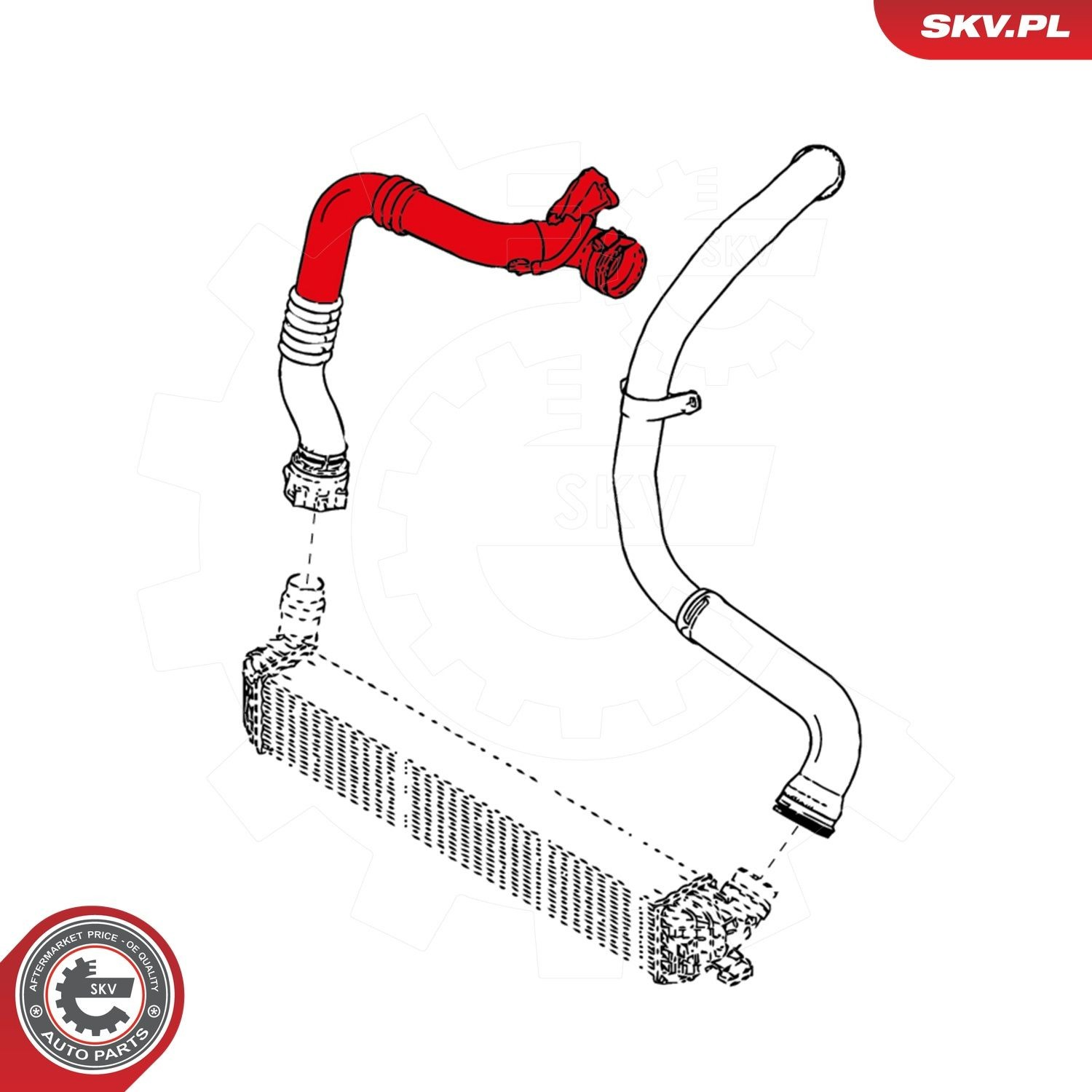 24SKV881 SKV