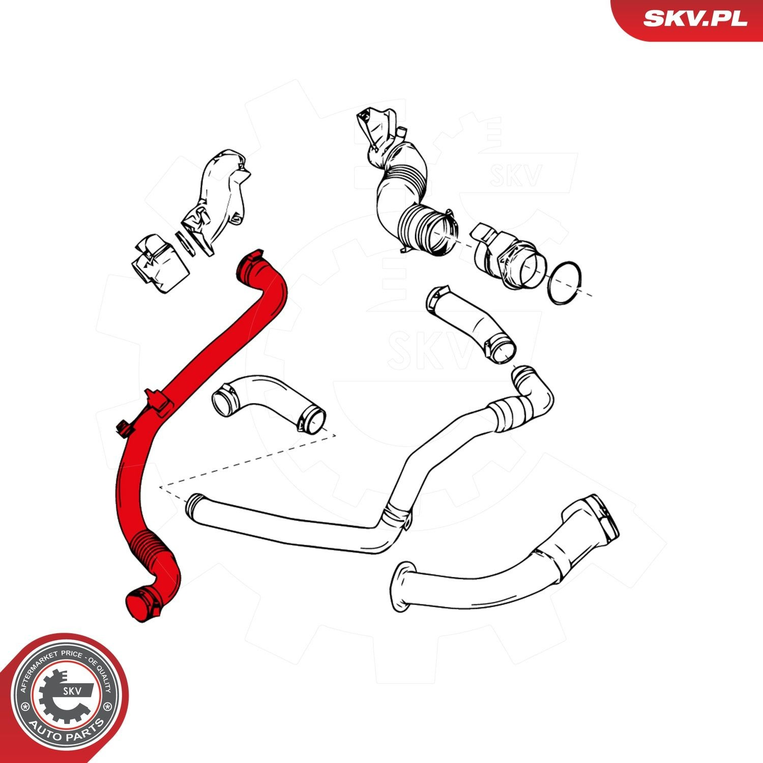 24SKV970 SKV
