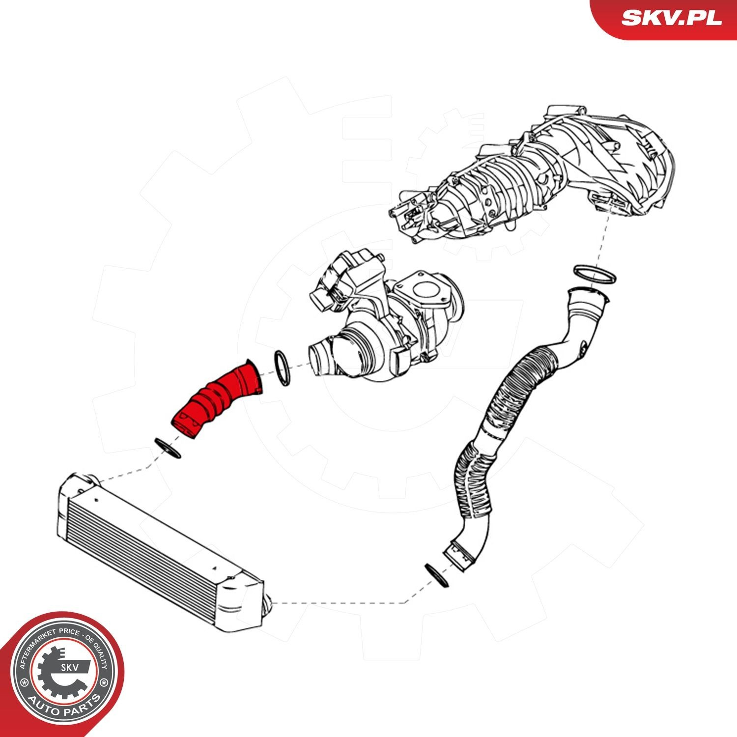 24SKV984 SKV