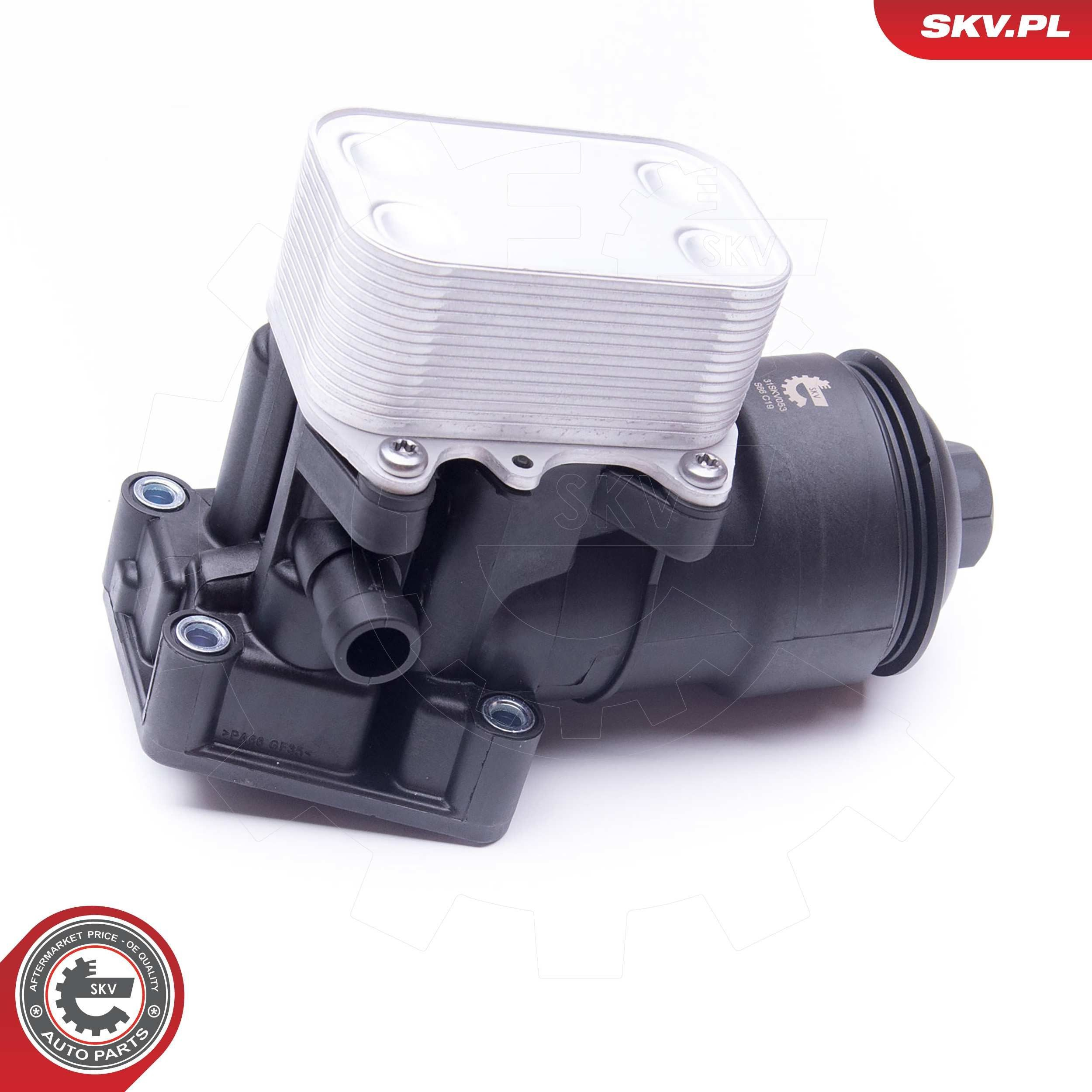 31SKV053 SKV