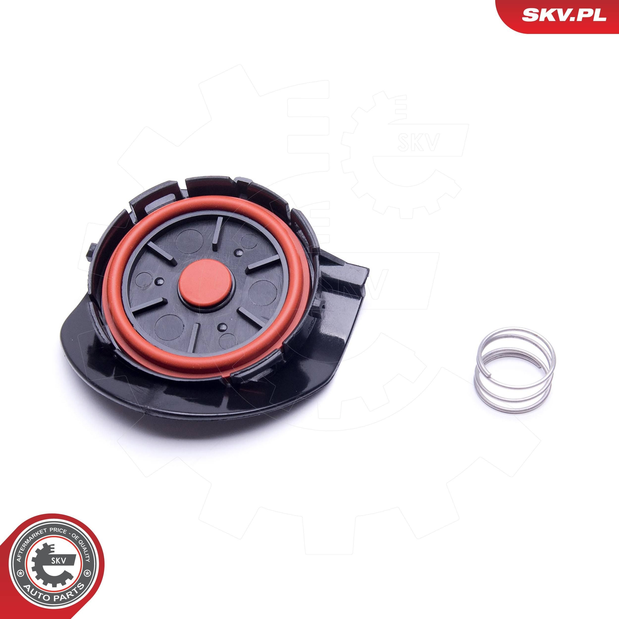 31SKV141 SKV