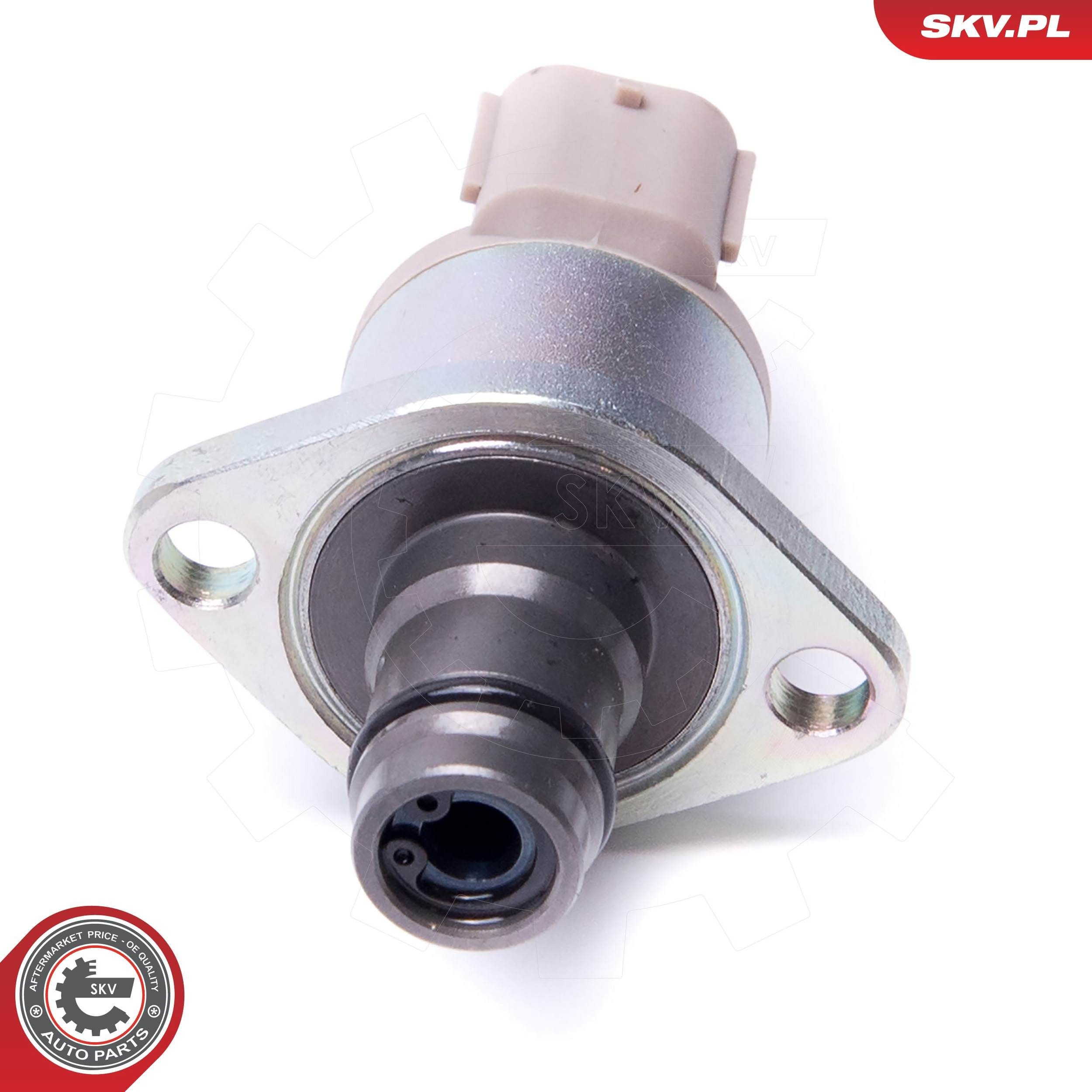 31SKV239 SKV