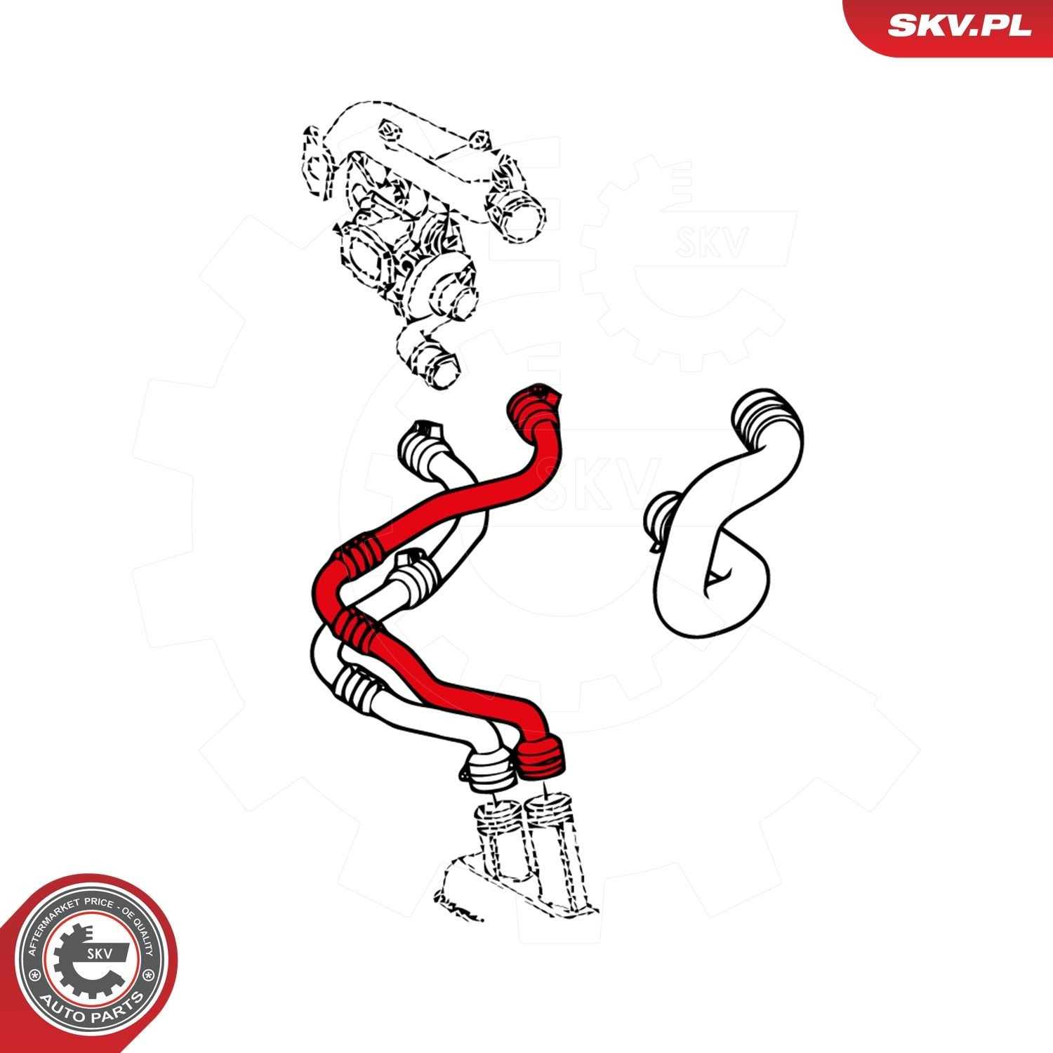 43SKV060 SKV