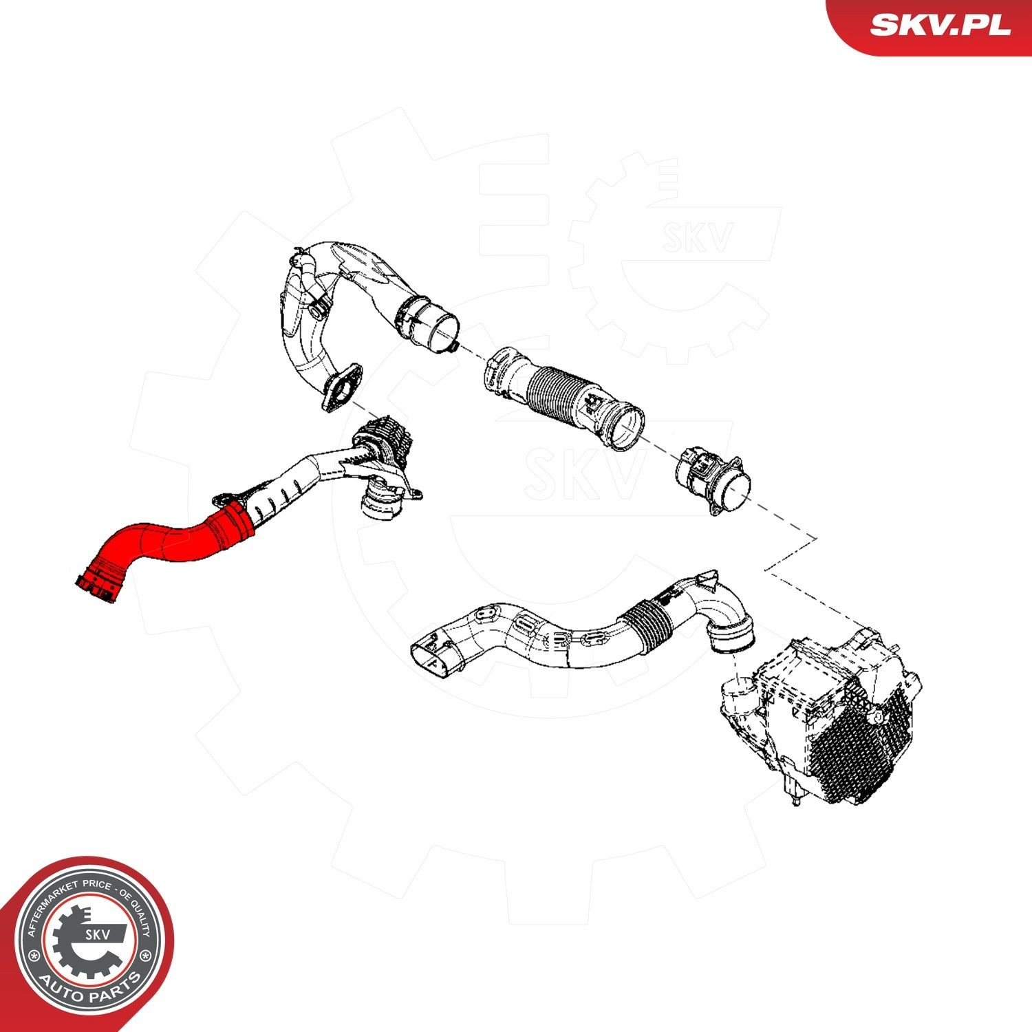 43SKV136 SKV