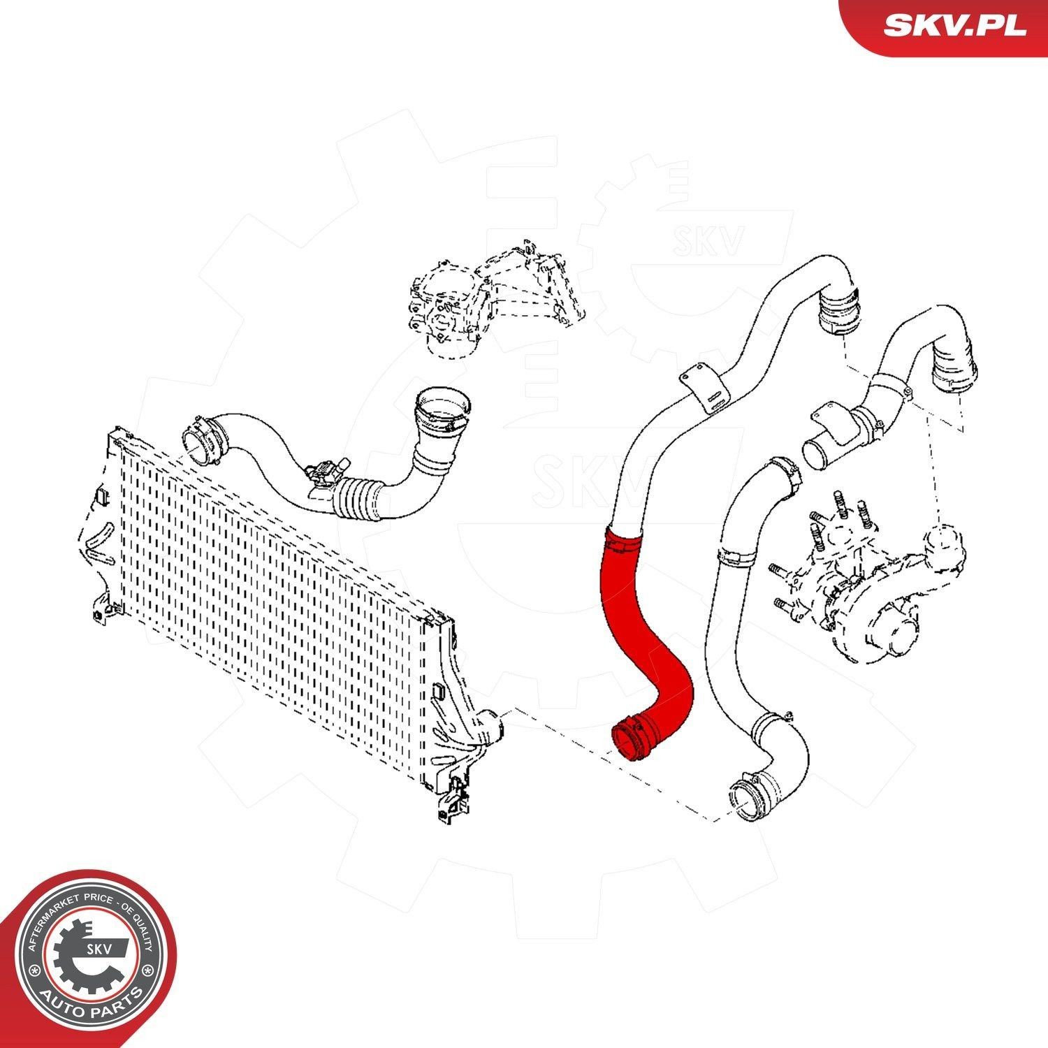 43SKV142 SKV