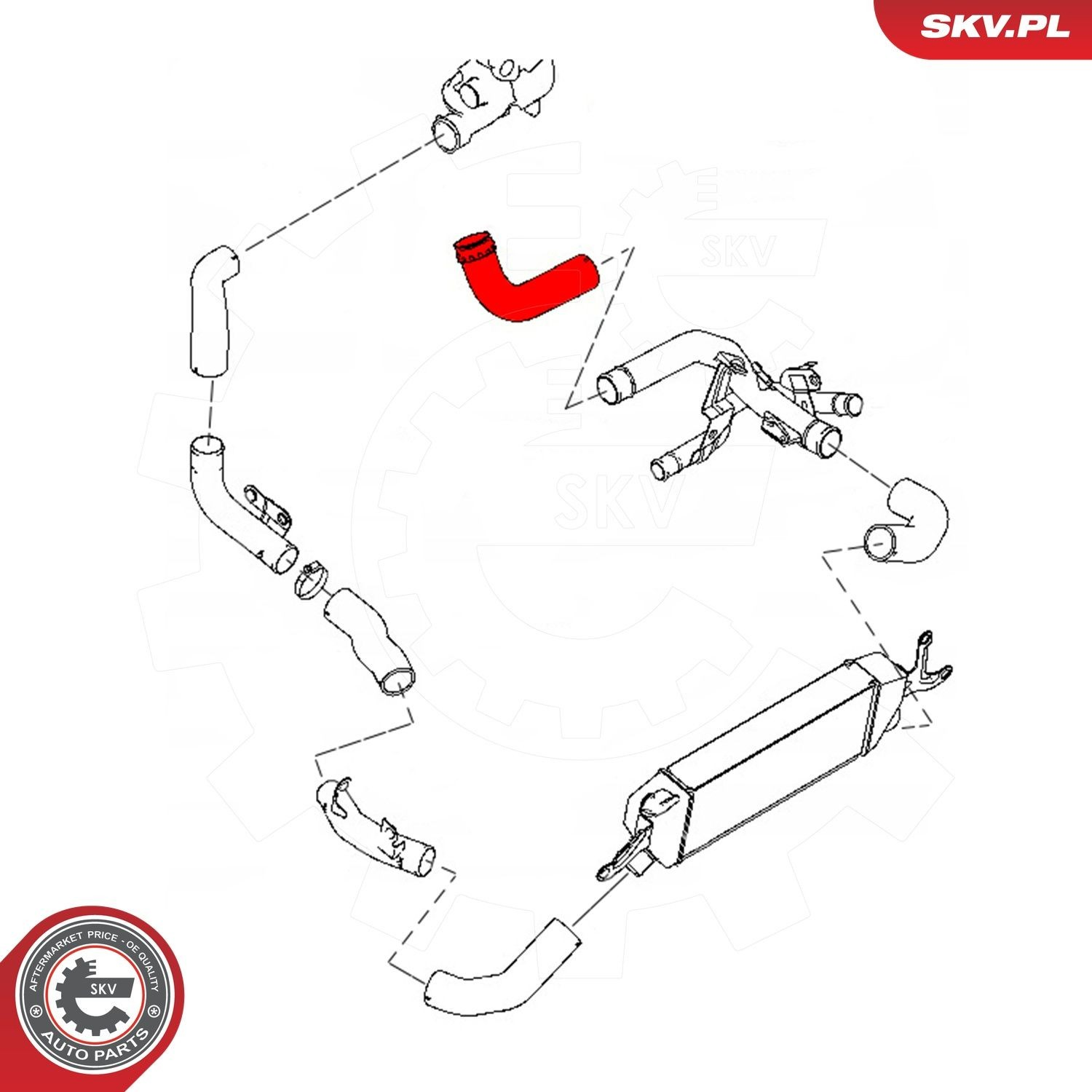 43SKV209 SKV