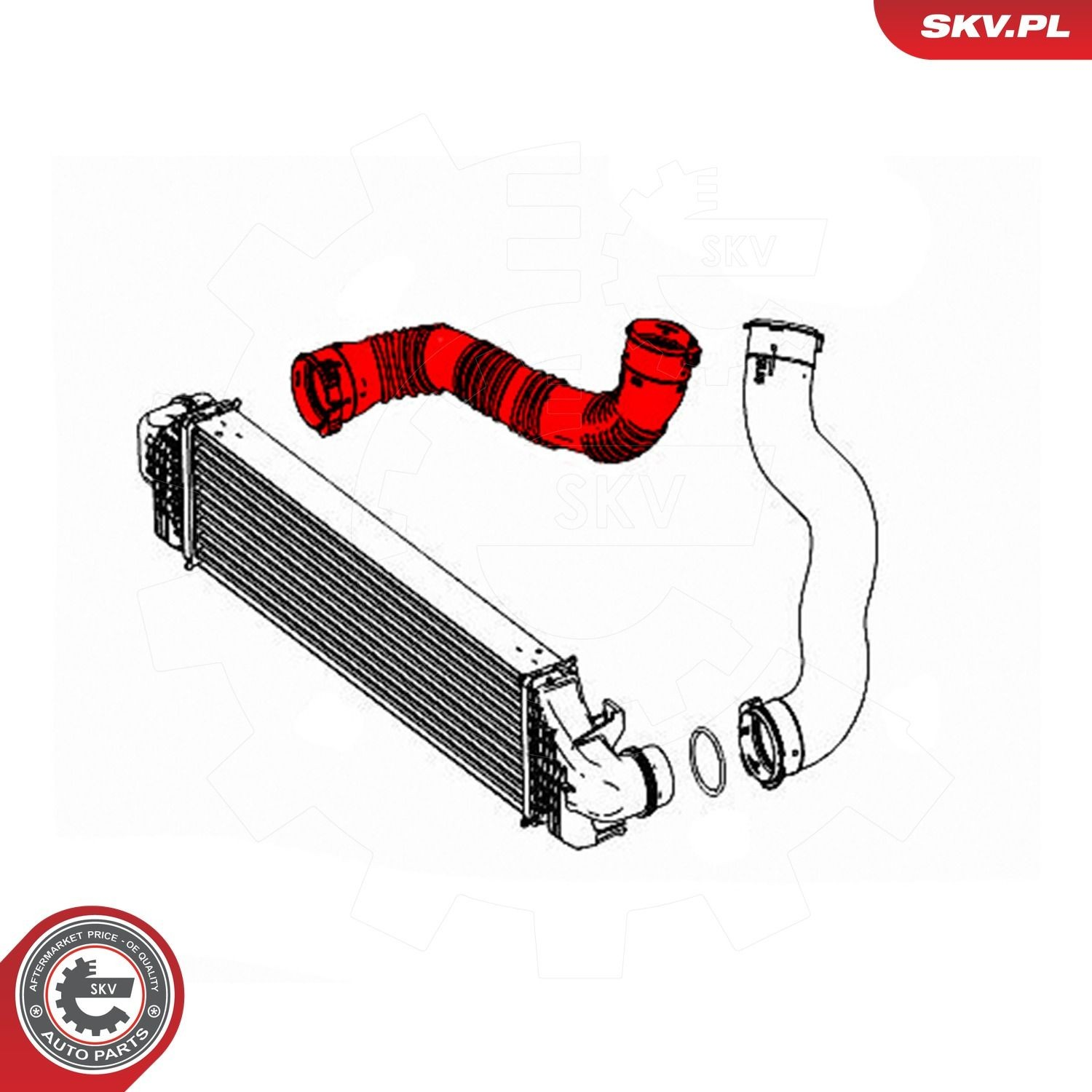 43SKV397 SKV
