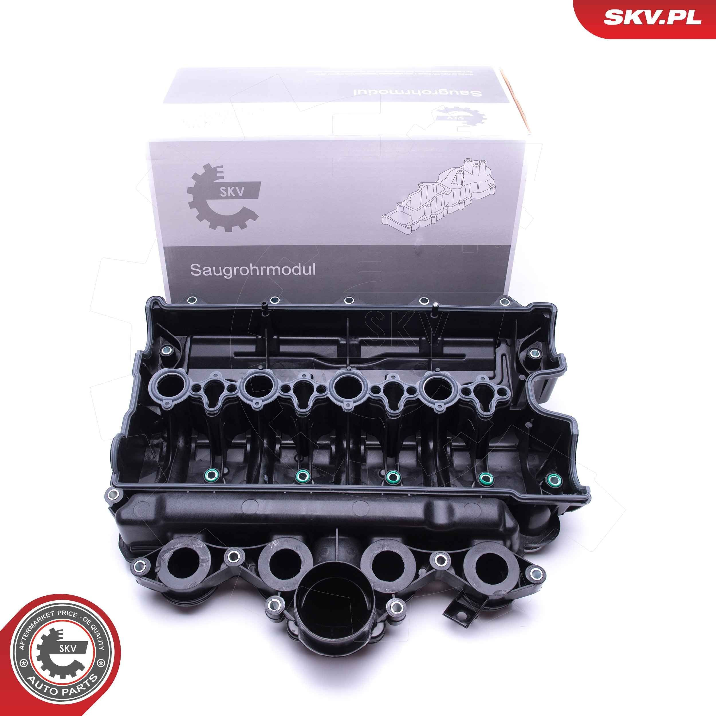 Tapa de la válvula SKV 49SKV021 precio, desde 155,53 EUR