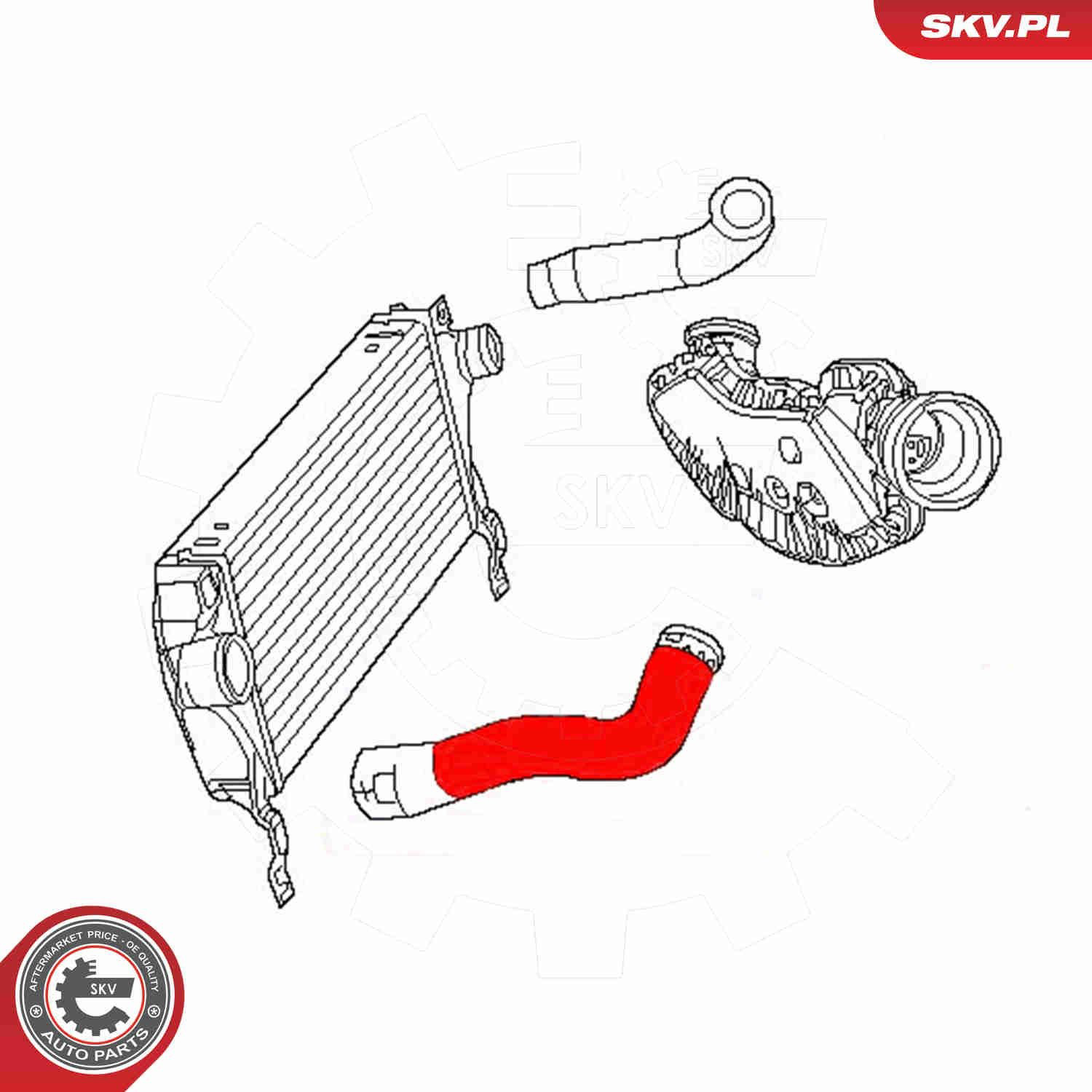 54SKV103 SKV Manguera del intercooler