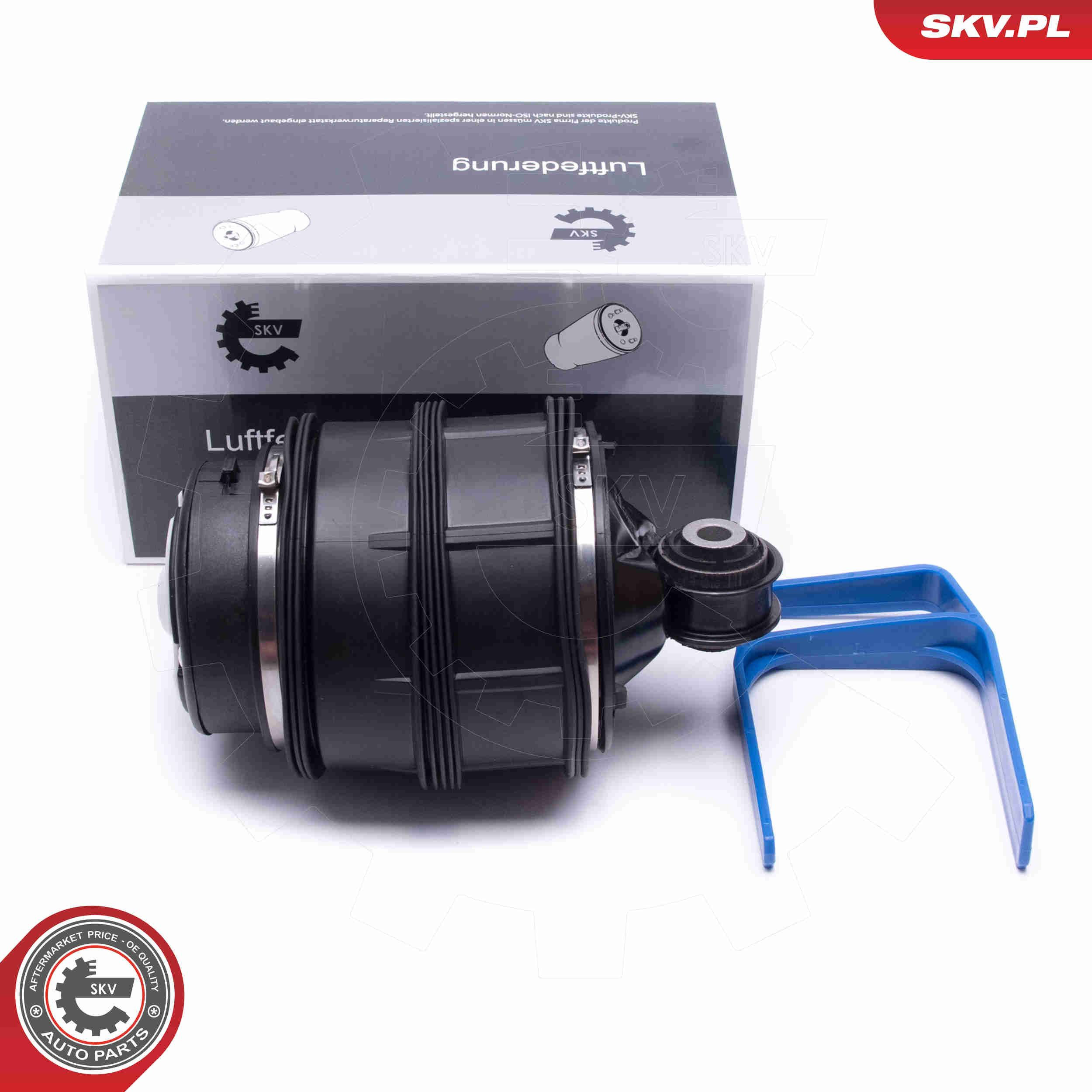 58SKV019 SKV