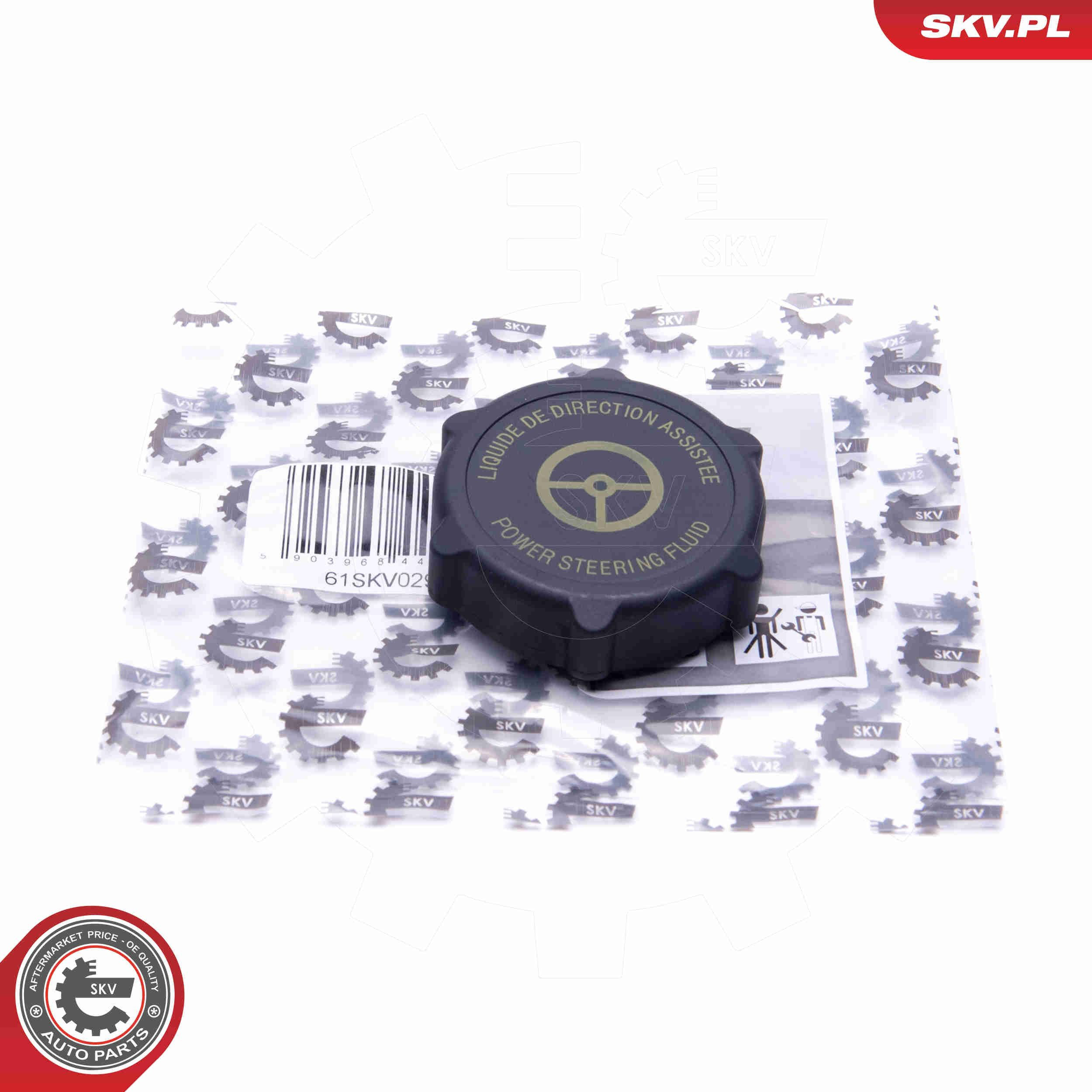 61SKV029 SKV