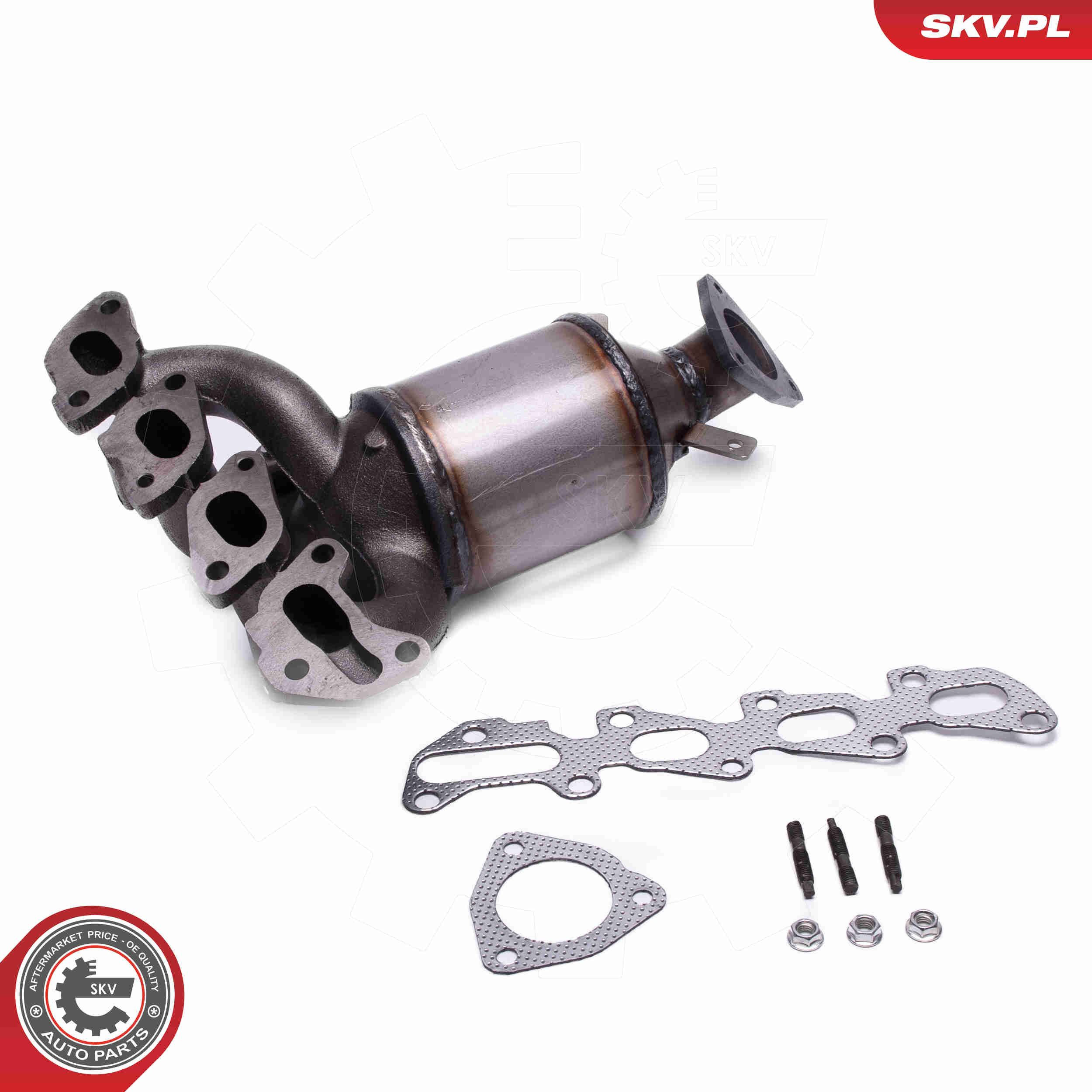 Catalizador SKV 62SKV021 precio, desde 274,21 EUR