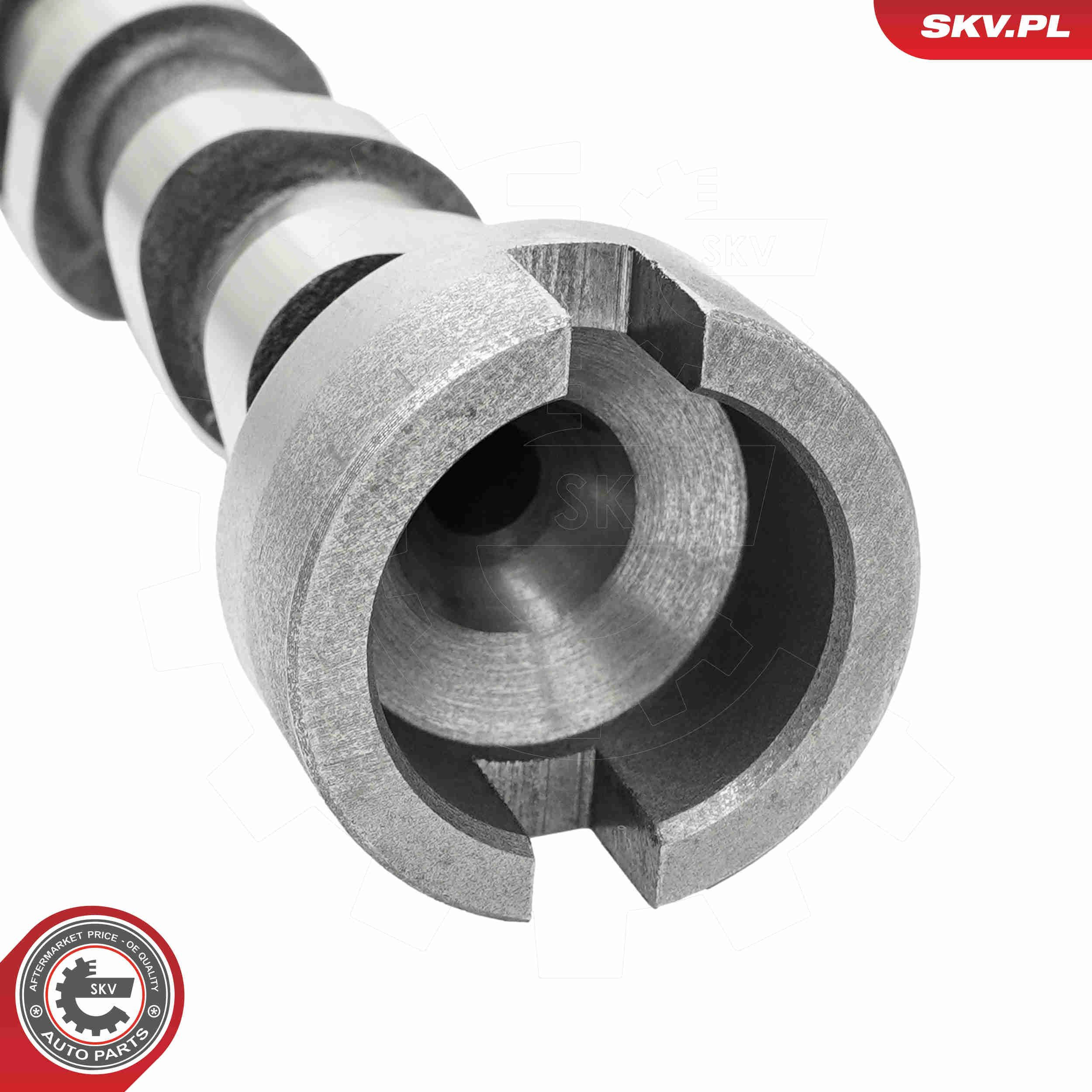 80SKV041 SKV