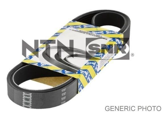 CA6PK1750 SNR Correa poly v