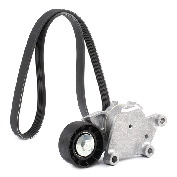 Correa de transmisión, juego SNR KA85920 precio, desde 44,92 EUR