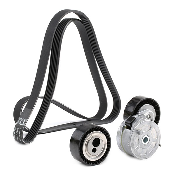 Correa de transmisión, juego Peugeot/Citroen 1616161380 precio, desde 91,72 EUR