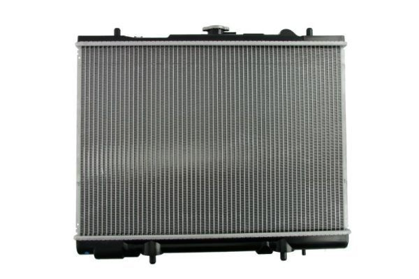 Água radiador Thermotec D75014TT precio, desde 110,90 EUR