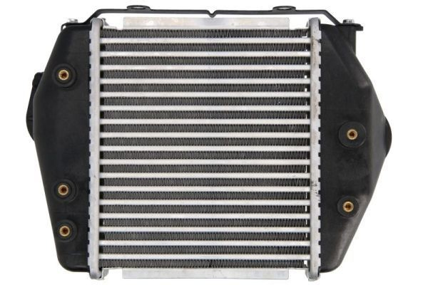 Radiador de aire de admisión Thermotec DA3004TT precio, desde 159,32 EUR