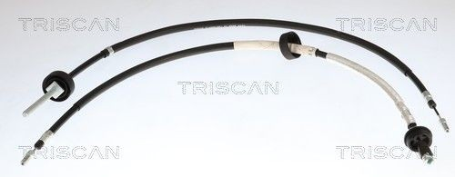 8140251251 Triscan Módulo del freno de estacionamiento electromecánico