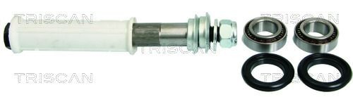 850015400 Triscan Buje del brazo longitudinal inferior trasero