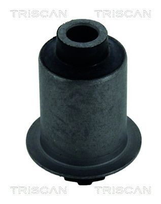 Comprar Silentblock del brazo de suspensión Nissan Cabstar NT400 F24M