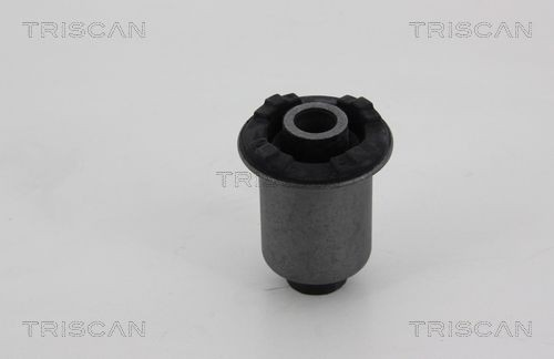  Silentblock del brazo de suspensión Nissan Cabstar 