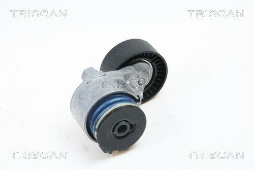 Tensor de la correa trapecial Nissan Micra hatchback (K12) (2002 - 2010) precio, desde 44,51 EUR