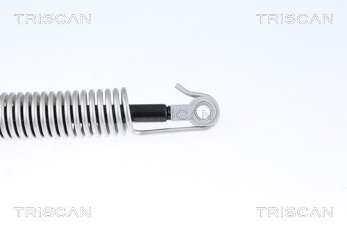 Muelle neumatico maletero Triscan 8710112014