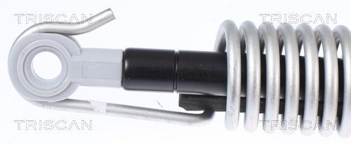 Comprar 8710112014 Triscan Amortiguador de puerta trasera